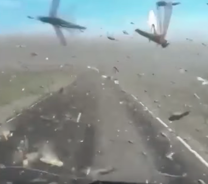 The invasion of locusts throughout Russia The invasion of locusts throughout Russia